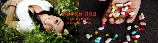 эйфоретик Ладушкин