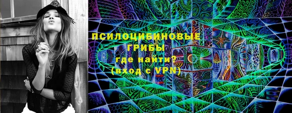 хмурый Лагань