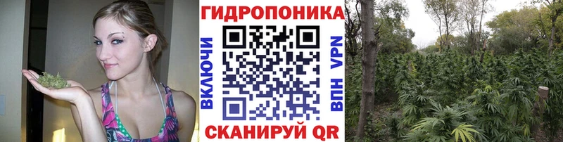 Купить  Унеча  Шишки марихуана VHQ 